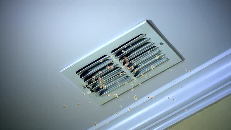 Best Professional Duct Cleaning Services  in Farwell, TX