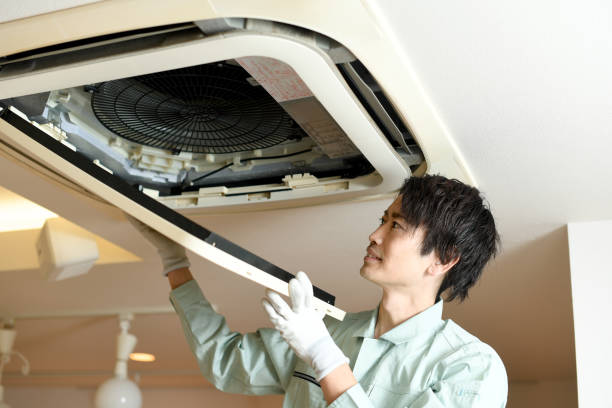 Best Air Duct Mold Removal  in Farwell, TX